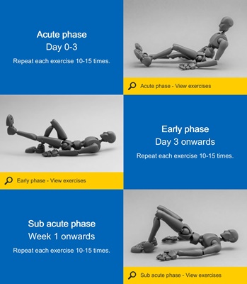 Hip Replacement Surgery Guide - Post-op exercises